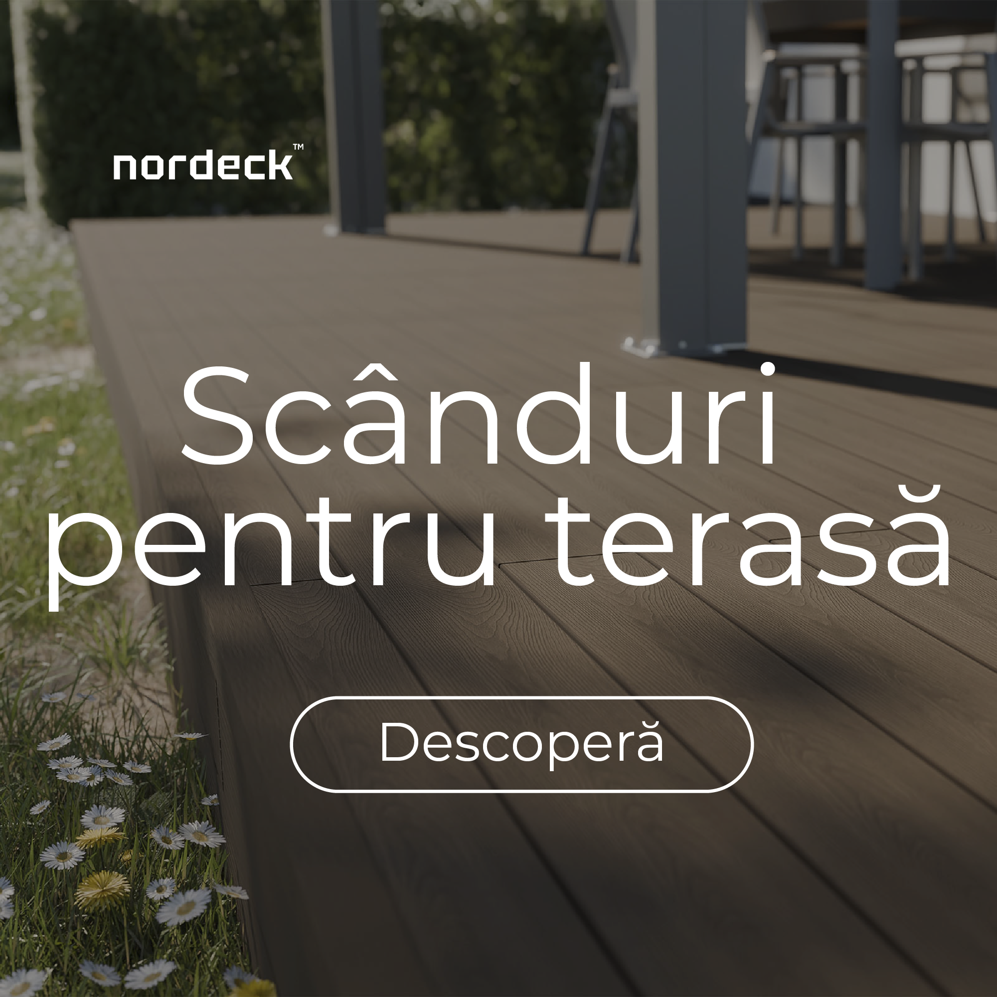 Baner_Deski_Desktop_2026_RO